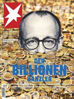 cover image of stern